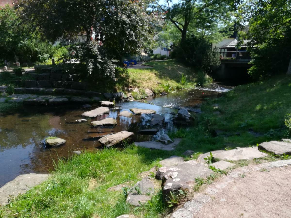 Am Sommerberg Unterkirnach Екстер'єр фото